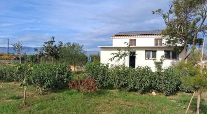 Casa rústica 1 habitación de 130 m² en Amposta (43870)