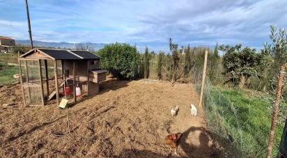 Casa rústica 1 habitación de 130 m² en Amposta (43870)