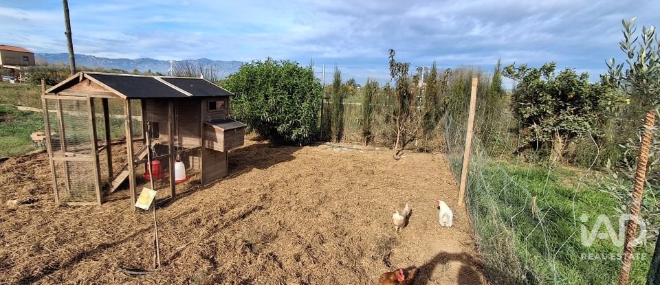 Casa rústica 1 habitación de 130 m² en Amposta (43870)