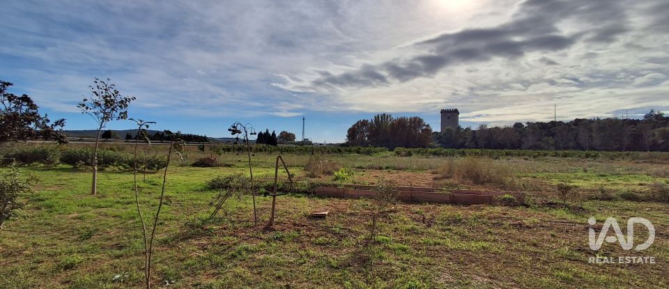 Casa rústica 1 habitación de 130 m² en Amposta (43870)