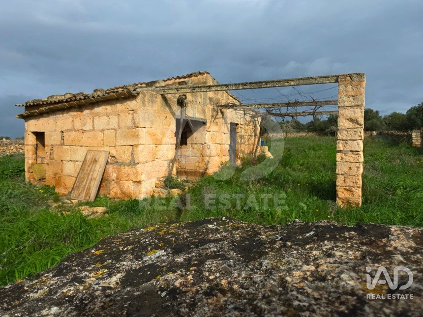 Land of 14,125 m² in Santa Margalida (07450)