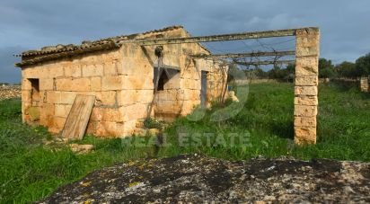 Land of 14,125 m² in Santa Margalida (07450)