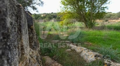 Land of 14,125 m² in Santa Margalida (07450)