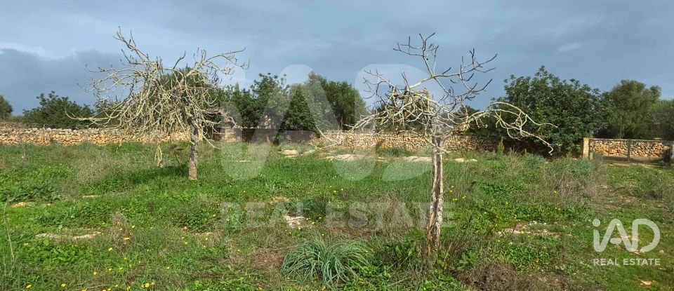 Land of 14,125 m² in Santa Margalida (07450)