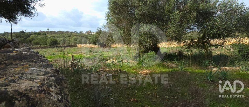 Land of 14,125 m² in Santa Margalida (07450)