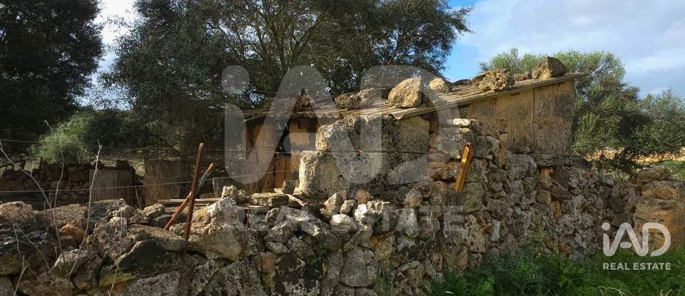 Land of 14,125 m² in Santa Margalida (07450)