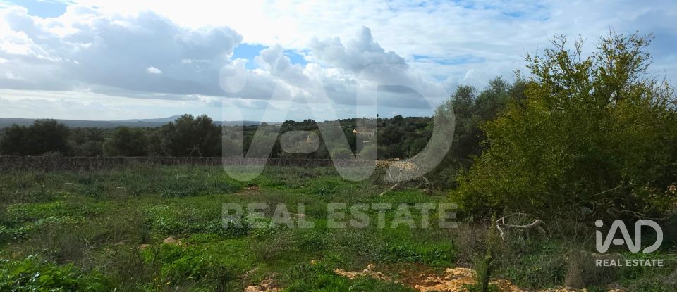 Land of 14,125 m² in Santa Margalida (07450)