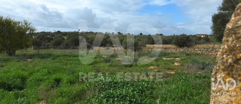 Land of 14,125 m² in Santa Margalida (07450)