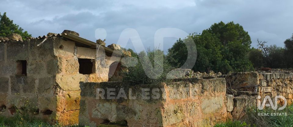 Land of 14,125 m² in Santa Margalida (07450)