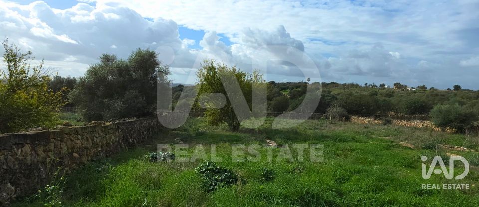 Land of 14,125 m² in Santa Margalida (07450)