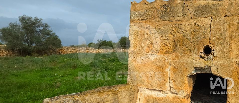 Land of 14,125 m² in Santa Margalida (07450)