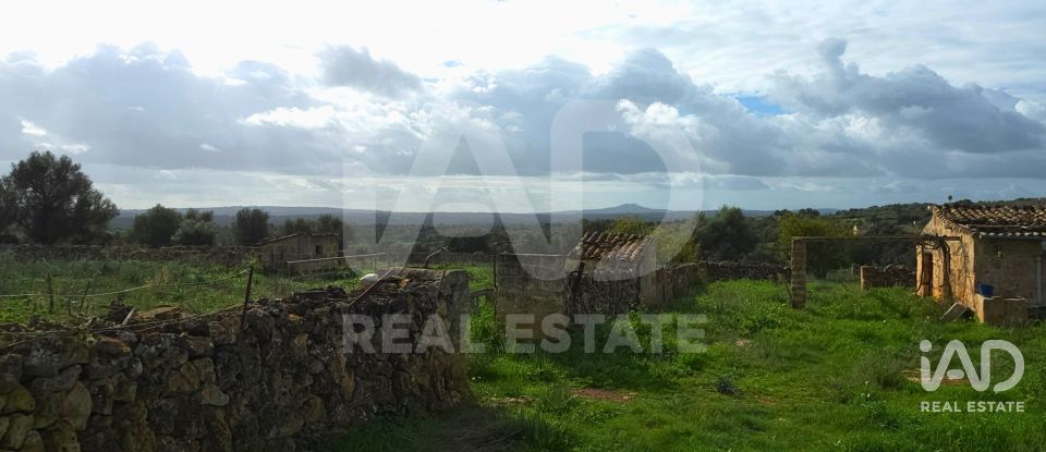 Land of 14,125 m² in Santa Margalida (07450)