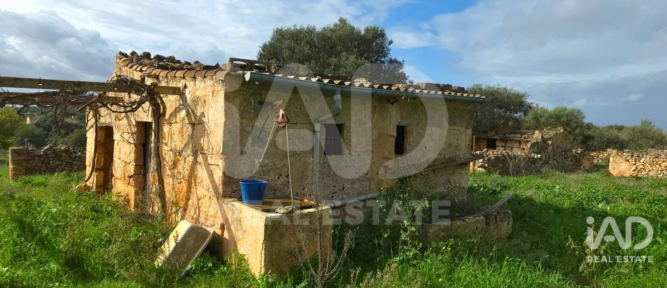 Land of 14,125 m² in Santa Margalida (07450)