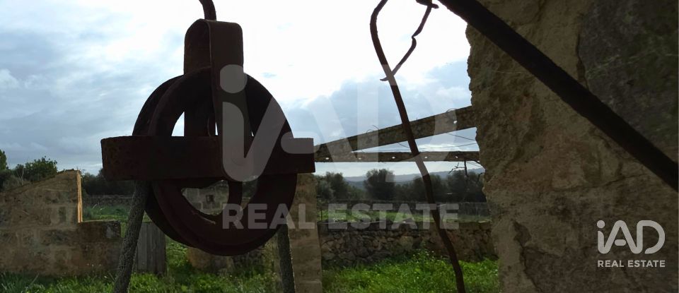 Land of 14,125 m² in Santa Margalida (07450)