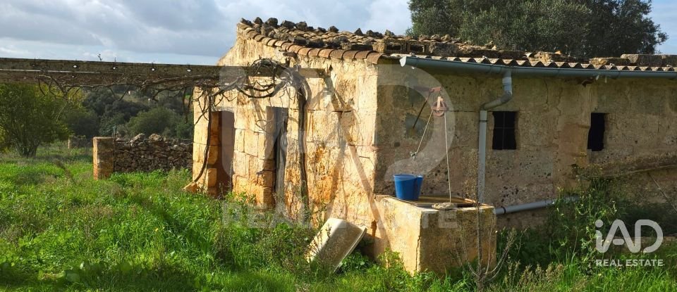 Land of 14,125 m² in Santa Margalida (07450)