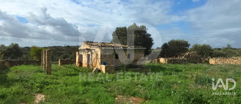 Land of 14,125 m² in Santa Margalida (07450)