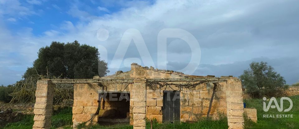 Land of 14,125 m² in Santa Margalida (07450)