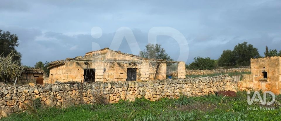 Land of 14,125 m² in Santa Margalida (07450)