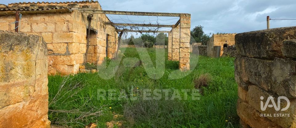 Land of 14,125 m² in Santa Margalida (07450)