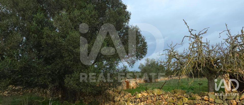 Land of 14,125 m² in Santa Margalida (07450)