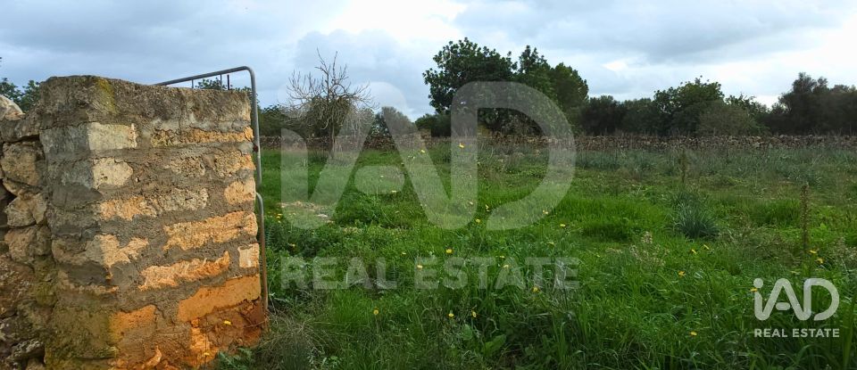 Land of 14,125 m² in Santa Margalida (07450)