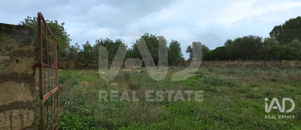 Land of 14,125 m² in Santa Margalida (07450)