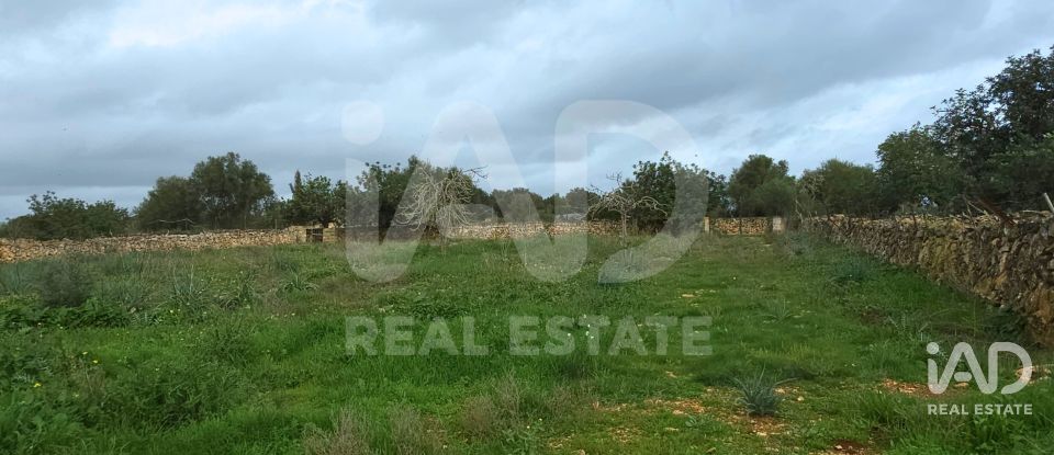 Land of 14,125 m² in Santa Margalida (07450)