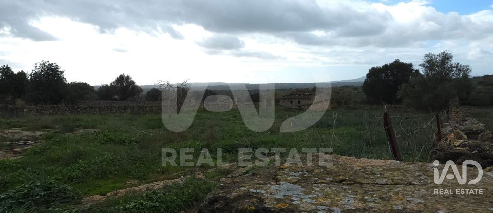 Land of 14,125 m² in Santa Margalida (07450)