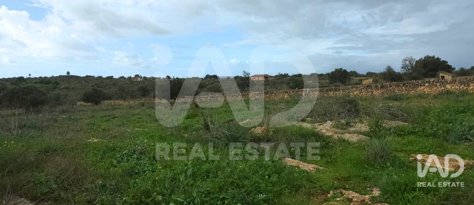Land of 14,125 m² in Santa Margalida (07450)