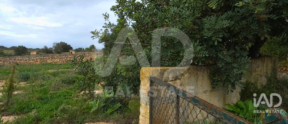 Land of 14,125 m² in Santa Margalida (07450)