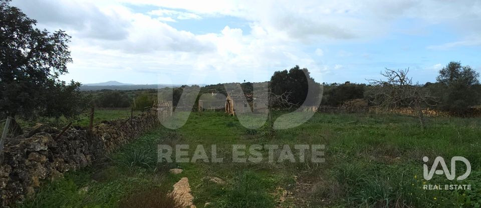 Land of 14,125 m² in Santa Margalida (07450)