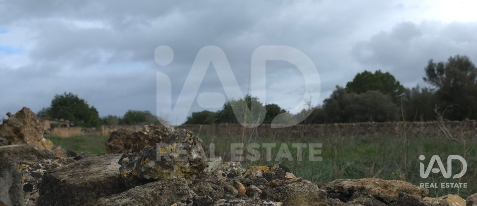 Land of 14,125 m² in Santa Margalida (07450)