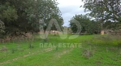 Land of 14,172 m² in Santa Margalida (07450)