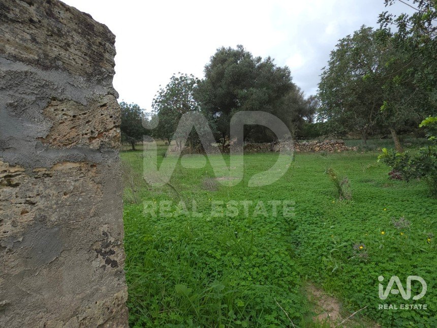 Land of 14,172 m² in Santa Margalida (07450)