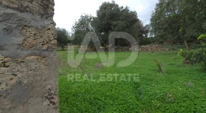 Land of 14,172 m² in Santa Margalida (07450)
