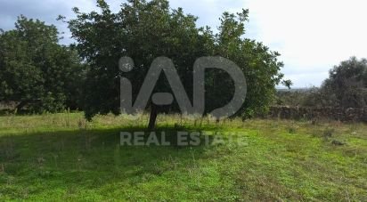Land of 14,172 m² in Santa Margalida (07450)