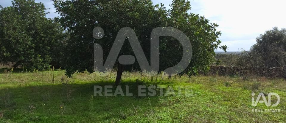 Land of 14,172 m² in Santa Margalida (07450)