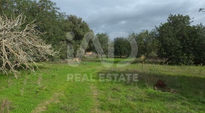 Land of 14,172 m² in Santa Margalida (07450)