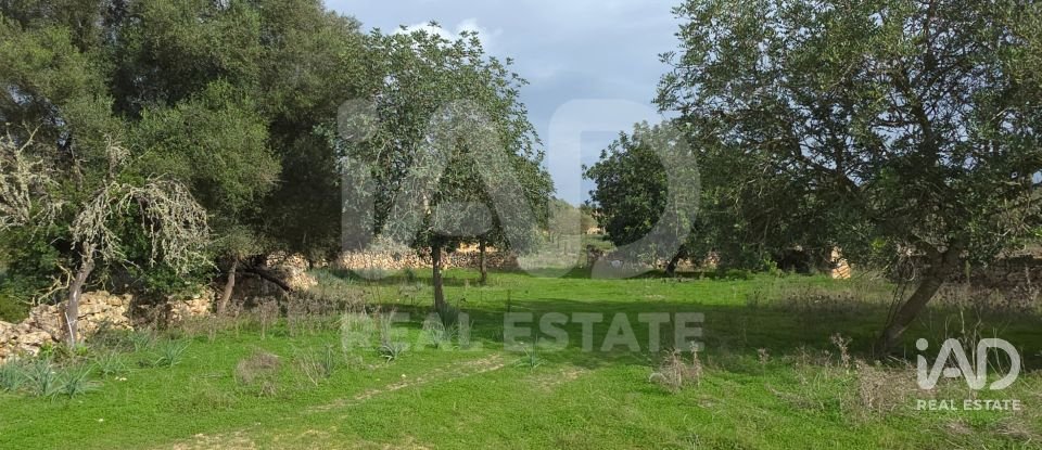 Land of 14,172 m² in Santa Margalida (07450)