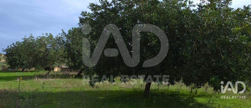 Land of 14,172 m² in Santa Margalida (07450)