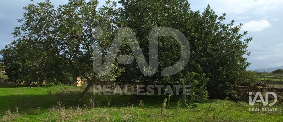 Land of 14,172 m² in Santa Margalida (07450)