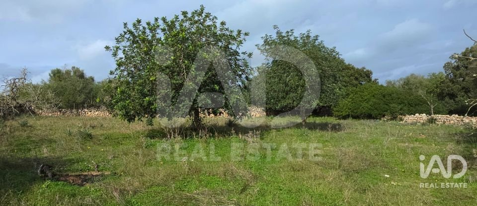 Land of 14,172 m² in Santa Margalida (07450)