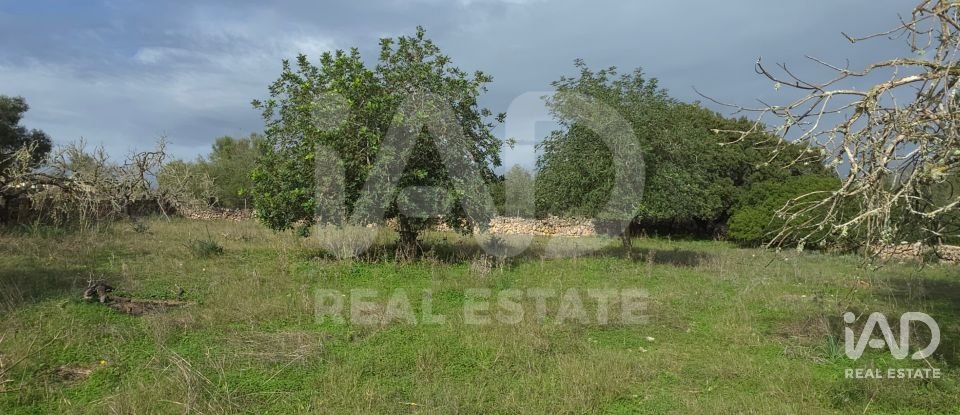 Land of 14,172 m² in Santa Margalida (07450)