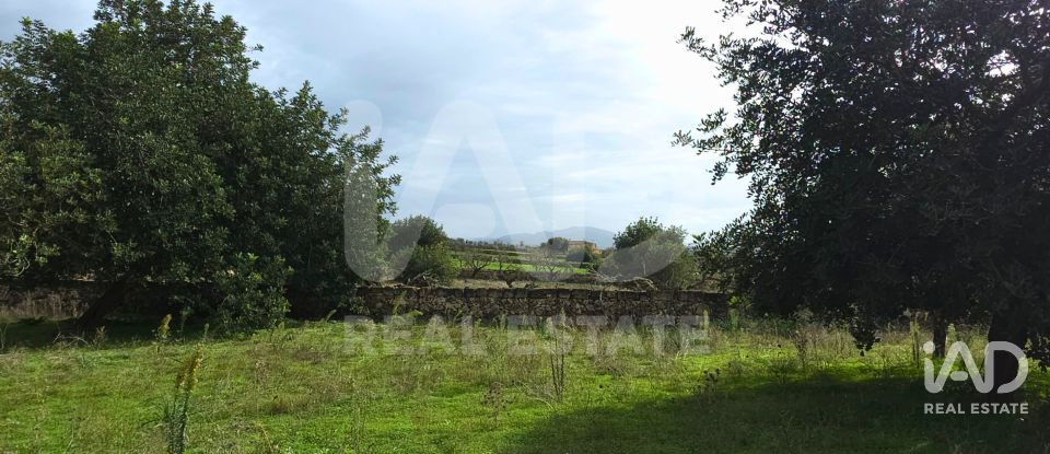 Land of 14,172 m² in Santa Margalida (07450)