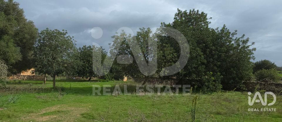 Land of 14,172 m² in Santa Margalida (07450)