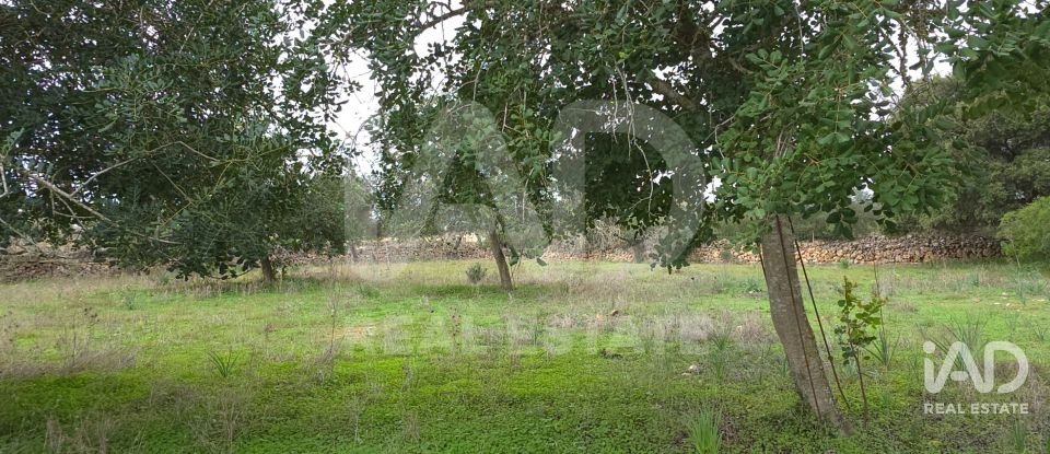 Land of 14,172 m² in Santa Margalida (07450)