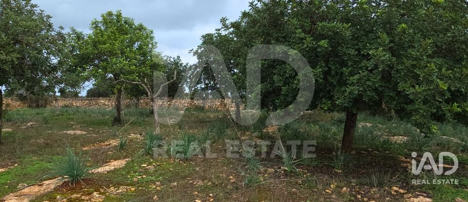 Land of 14,172 m² in Santa Margalida (07450)