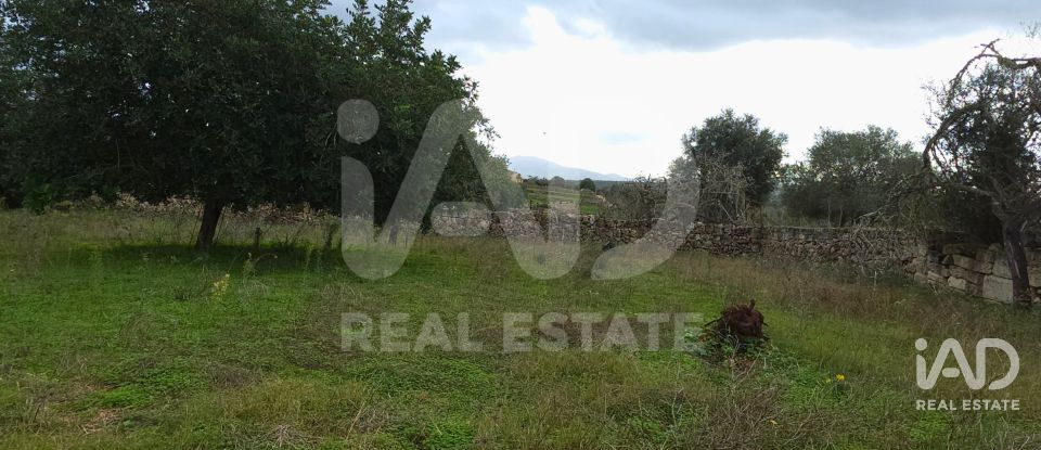 Land of 14,172 m² in Santa Margalida (07450)