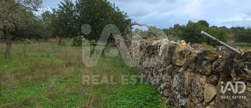 Land of 14,172 m² in Santa Margalida (07450)