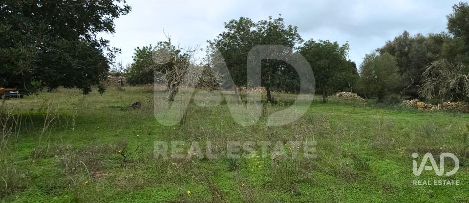 Land of 14,172 m² in Santa Margalida (07450)
